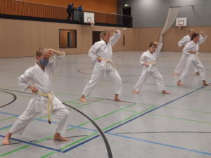 Gürtelprüfung 2020 - Im Zeichen von Corona - Karate SV Ingolstadt-Haunwöhr