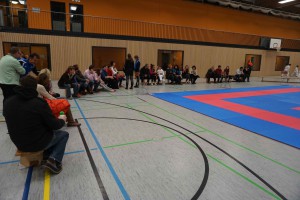 Karate Cup 2016 - Karate SV Ingolstadt Haunwöhr