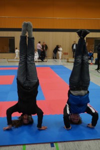 Karate Cup 2016 - Karate SV Ingolstadt Haunwöhr