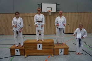 Karate Cup 2016 - Karate SV Ingolstadt Haunwöhr