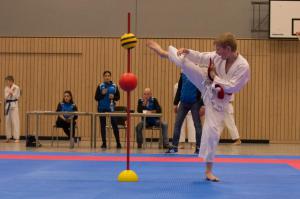 Haunwöhrer Karate Cup 2017 - Karate SV Ingolstadt Haunwöhr