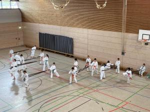Karate Kids Day 2024