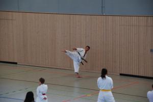 Karatelehrgang  und Gürtelprüfung - Karate SV Ingolstadt-Haunwöhr