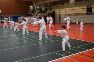 Karatelehrgang mit Gürtelprüfung 2018 - Karate SV Ingolstadt - Haunwöhr