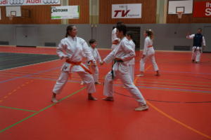 Karatelehrgang mit Gürtelprüfung 2018 - Karate SV Ingolstadt - Haunwöhr