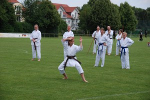 Sommerfest 2016 - Karate SV Ingolstadt-Haunwöhr