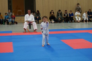 Vereinsmeisterschaft 2015 - Karate SV Ingolstadt Haunwöhr    