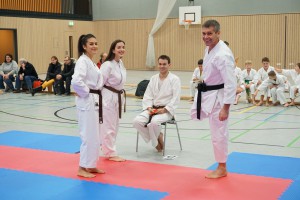 Vereinsmeisterschaft 2015 - Karate SV Ingolstadt Haunwöhr    