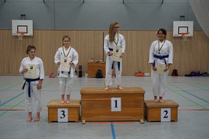 Vereinsmeisterschaft 2015 - Karate SV Ingolstadt Haunwöhr    