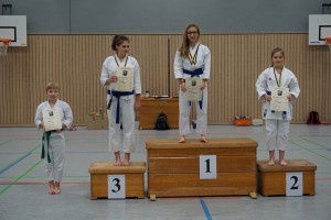 Vereinsmeisterschaft 2015 - Karate SV Ingolstadt Haunwöhr    