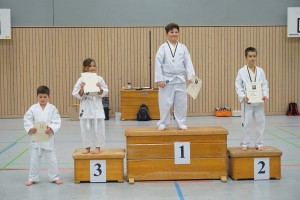 Vereinsmeisterschaft 2015 - Karate SV Ingolstadt Haunwöhr    