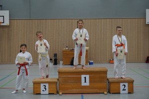 Vereinsmeisterschaft 2015 - Karate SV Ingolstadt Haunwöhr    